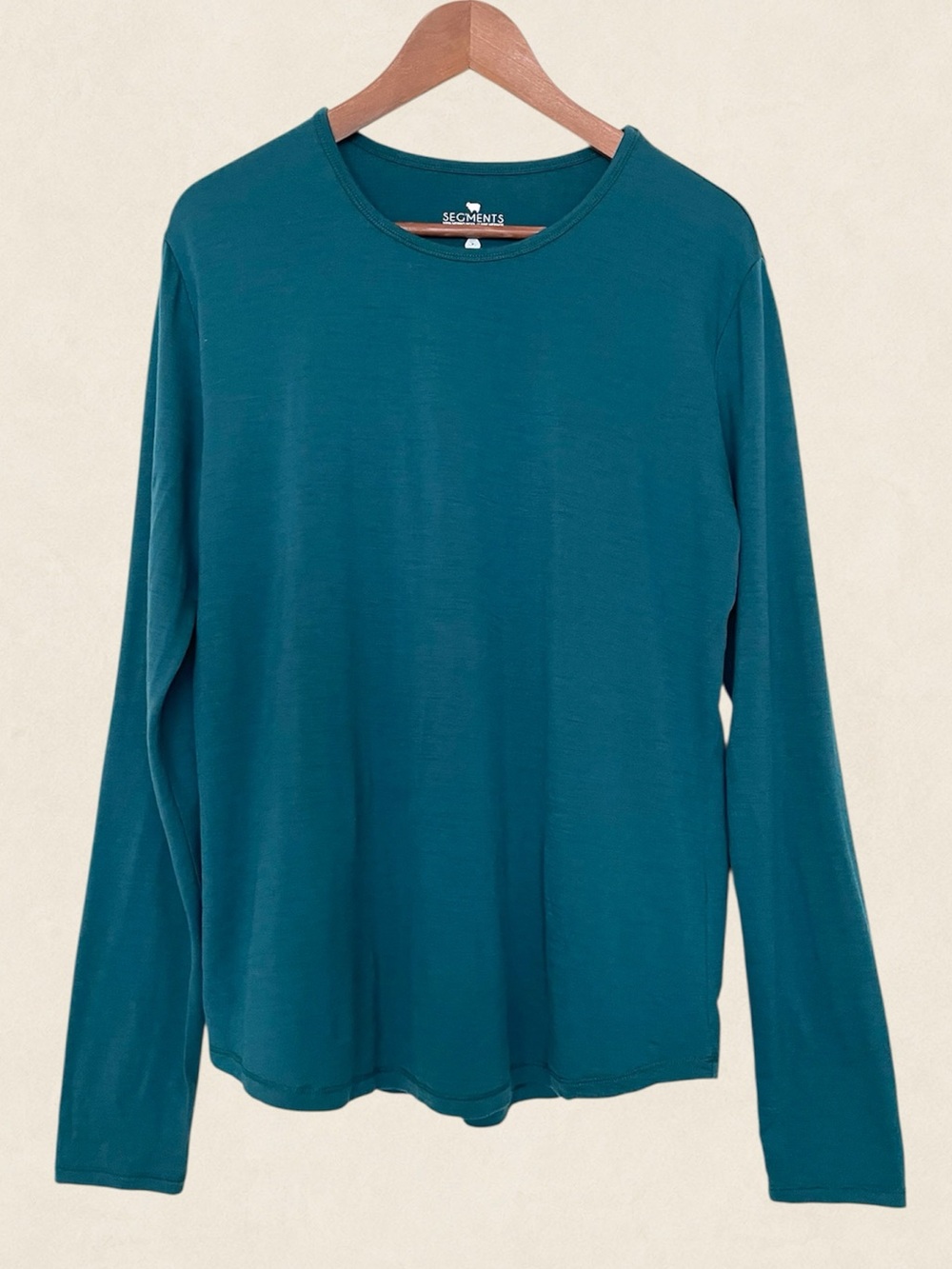 Segments 100% Merino Wool Long Sleeve Tee Top L Teal Lightweight Base Layer